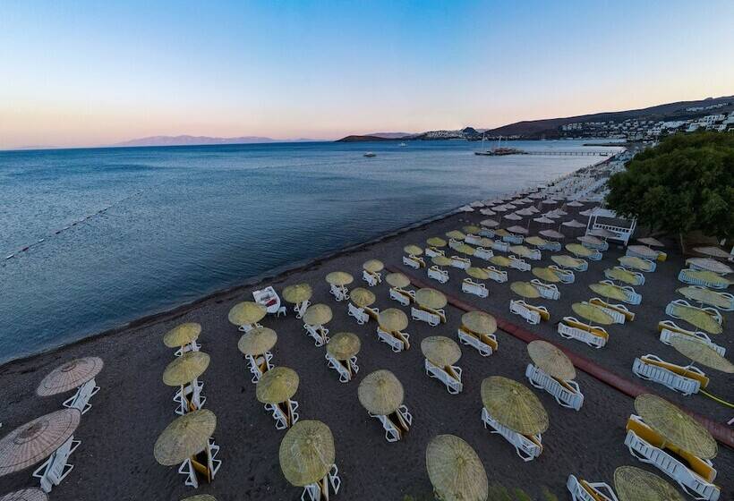 ホテル Petunya Beach Resort