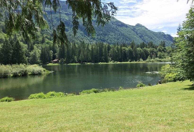 97mf   Lakeside   Dock   Bbq   Pets Ok   Sleeps 6