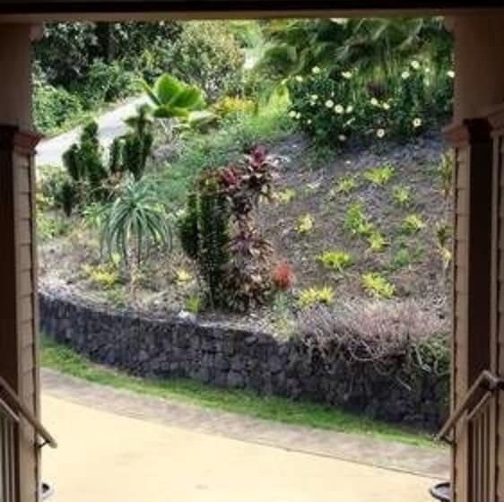 مبيت وإفطار Kona Palace In Captain Cook