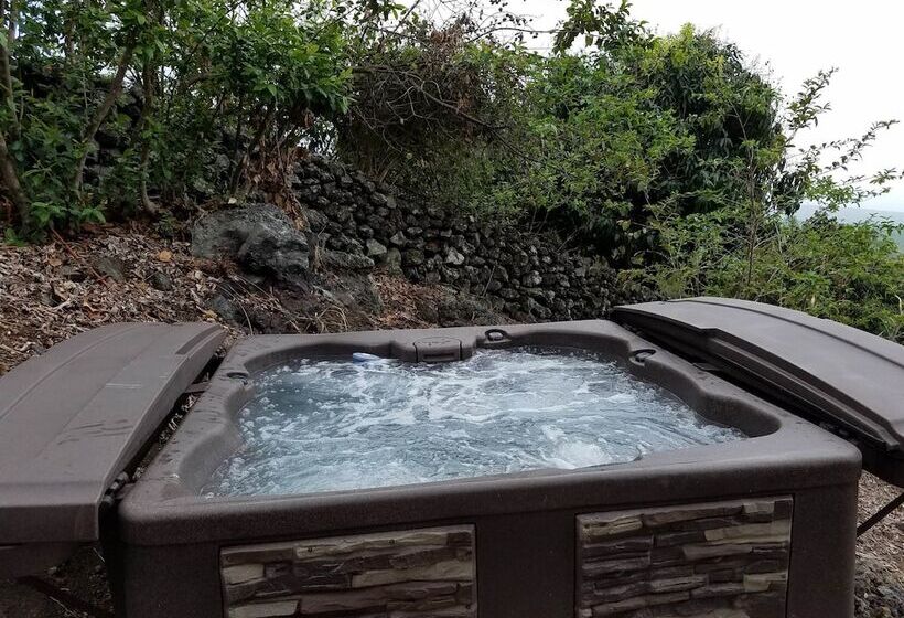 مبيت وإفطار Kona Palace In Captain Cook