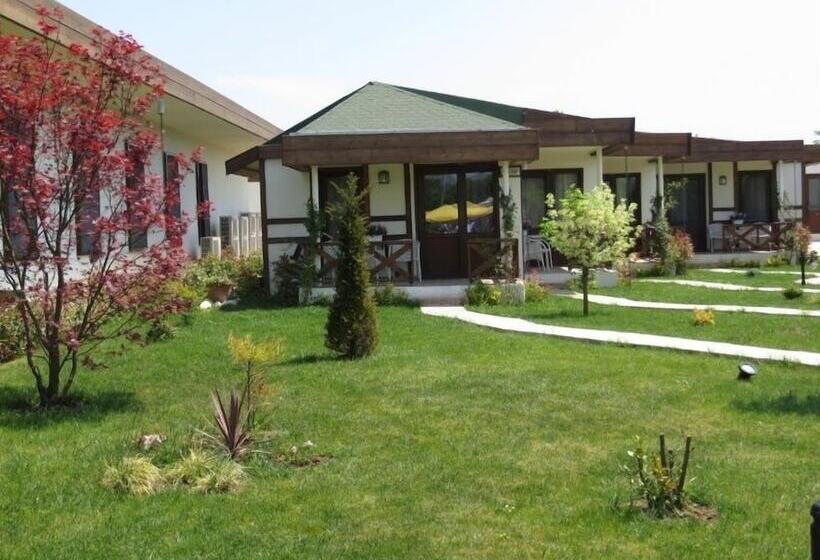 فندق Riva's Club