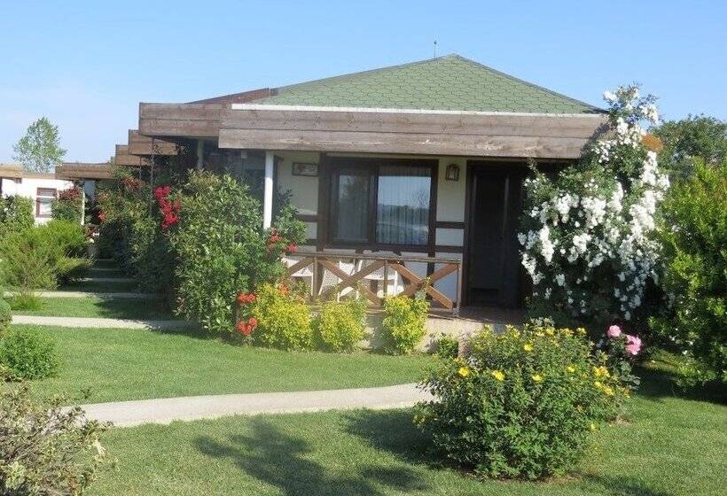 فندق Riva's Club