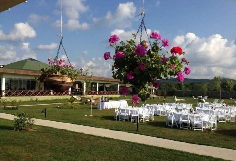 فندق Riva's Club