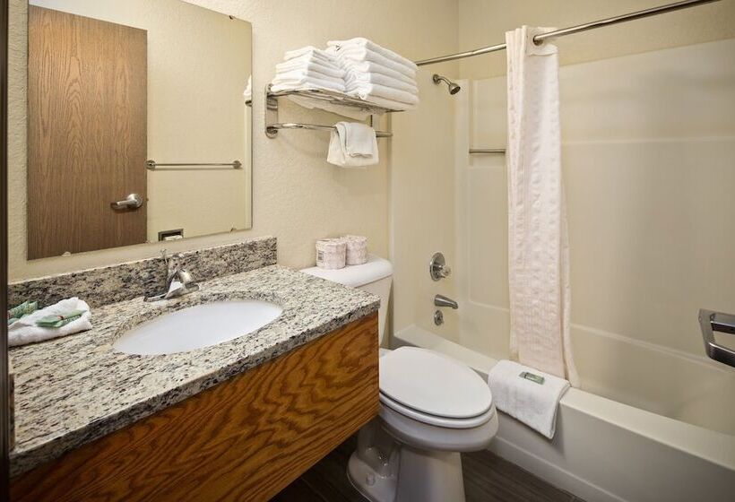 هتل Black Hills Luxury Suites