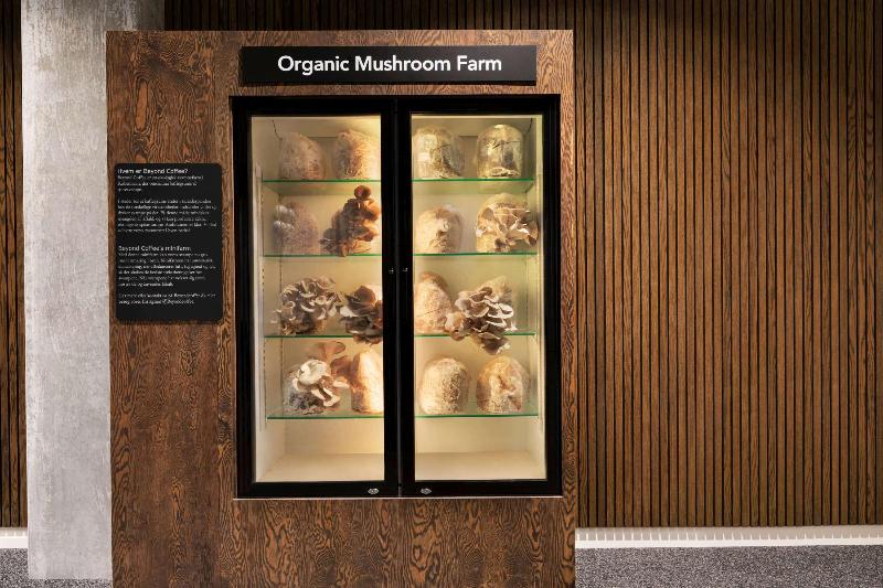 فندق Comwell Copenhagen Portside Dolce By Wyndham