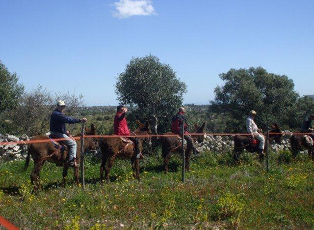 فندق Agriturismo Agrimilo