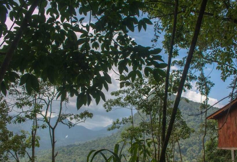 فندق Tree Houses By Jungle River