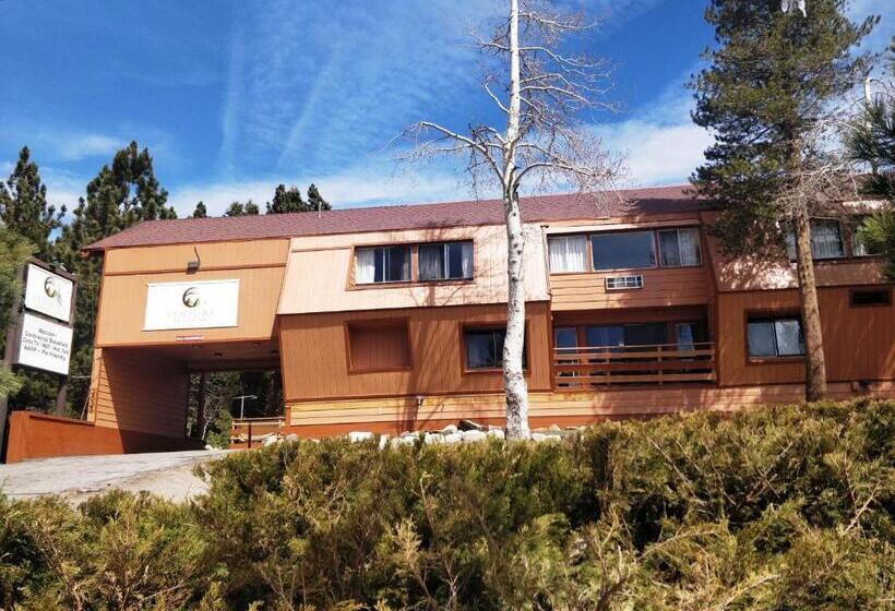 汽车旅馆  Ventura Grand Inn