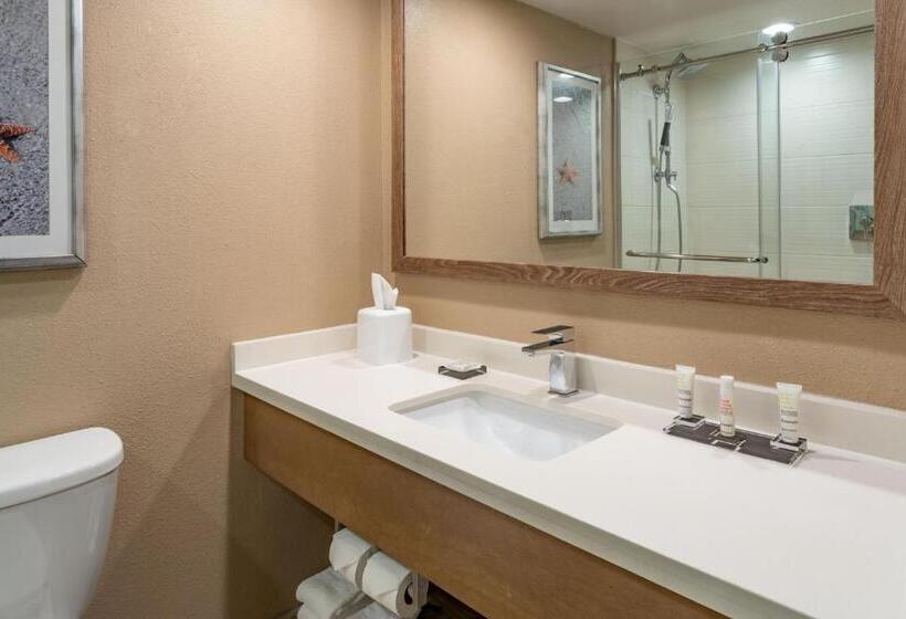 בית מלון כפרי Clearwater Beach Marriott Resort On Sand Key