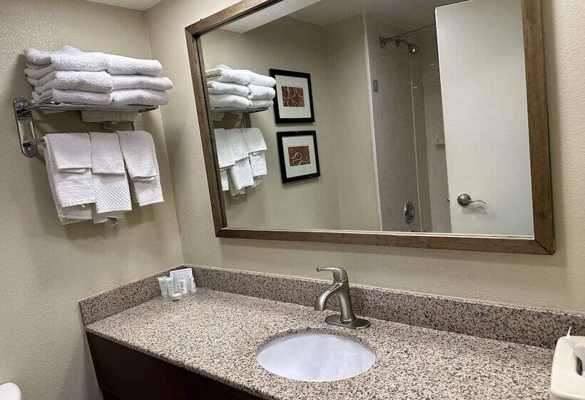 בית מלון כפרי Vista Suites Near Leconte Convention Center