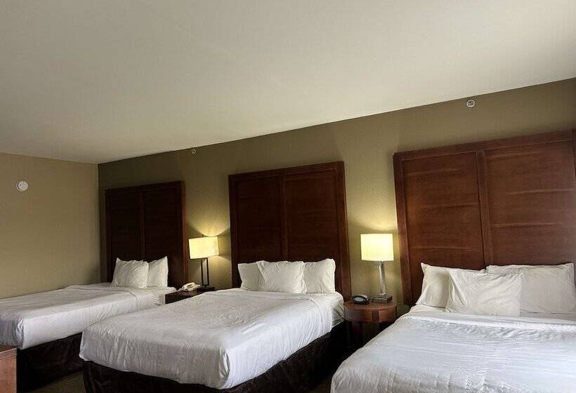 בית מלון כפרי Vista Suites Near Leconte Convention Center