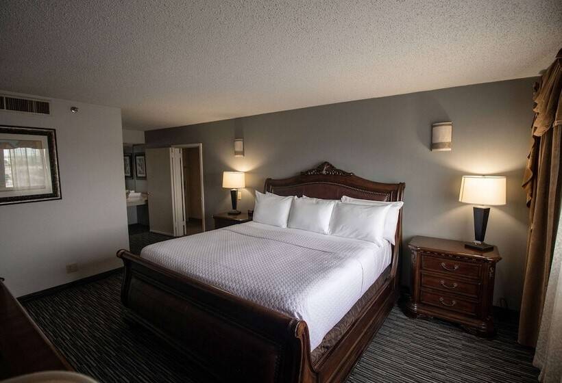 בית מלון כפרי Wyndham Houston Near Nrg Park   Medical Center