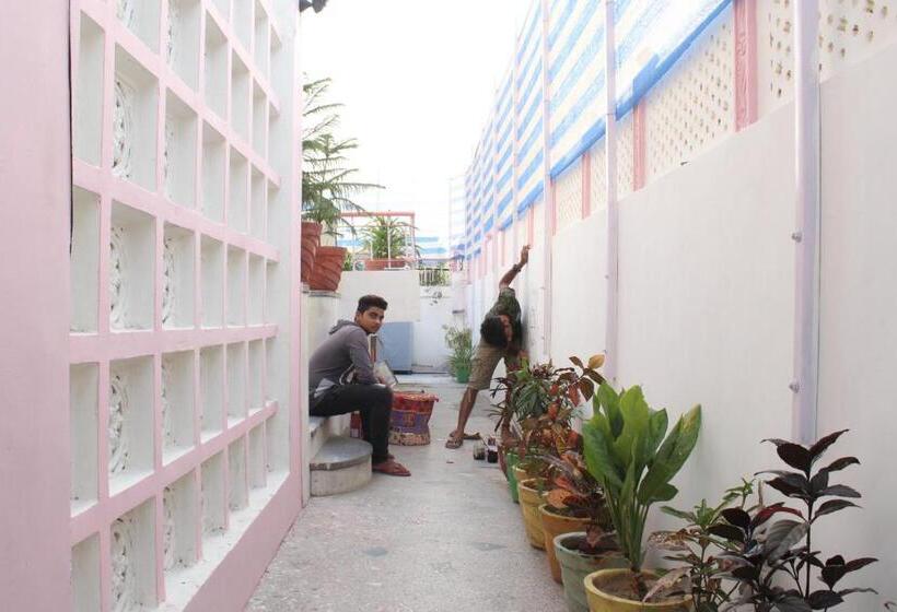 호스텔 Backpackers Villa