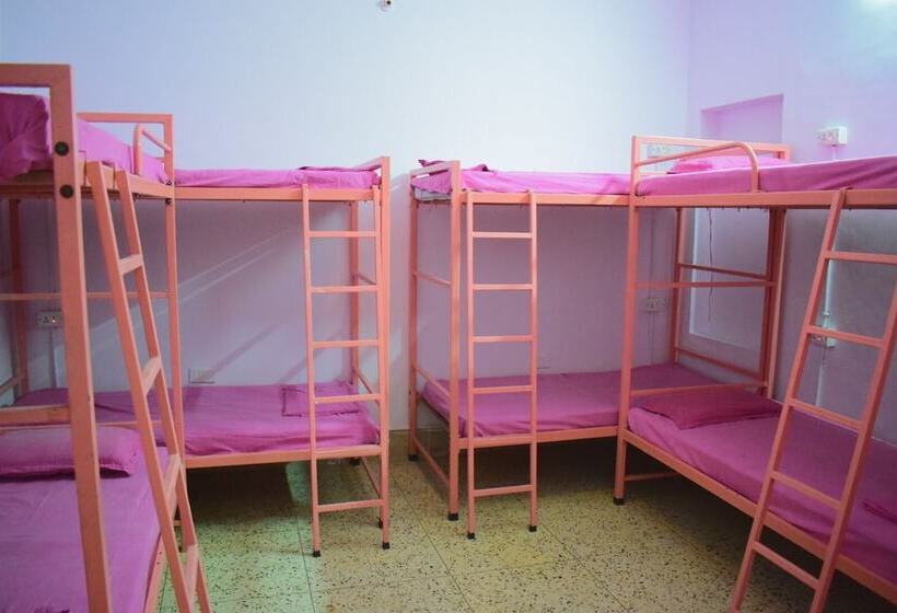 호스텔 Backpackers Villa