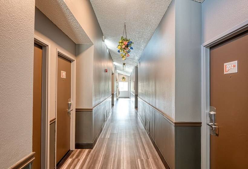 فندق صغير La Mirage Inn  Hollywood