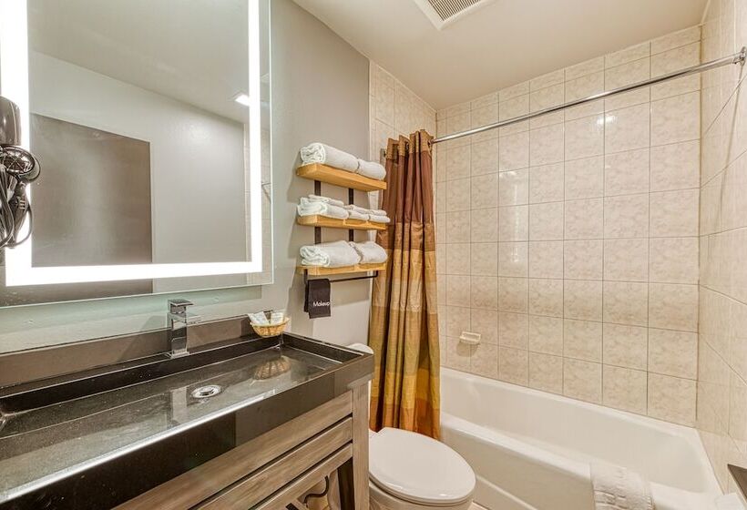 Общежитие La Mirage Inn  Hollywood