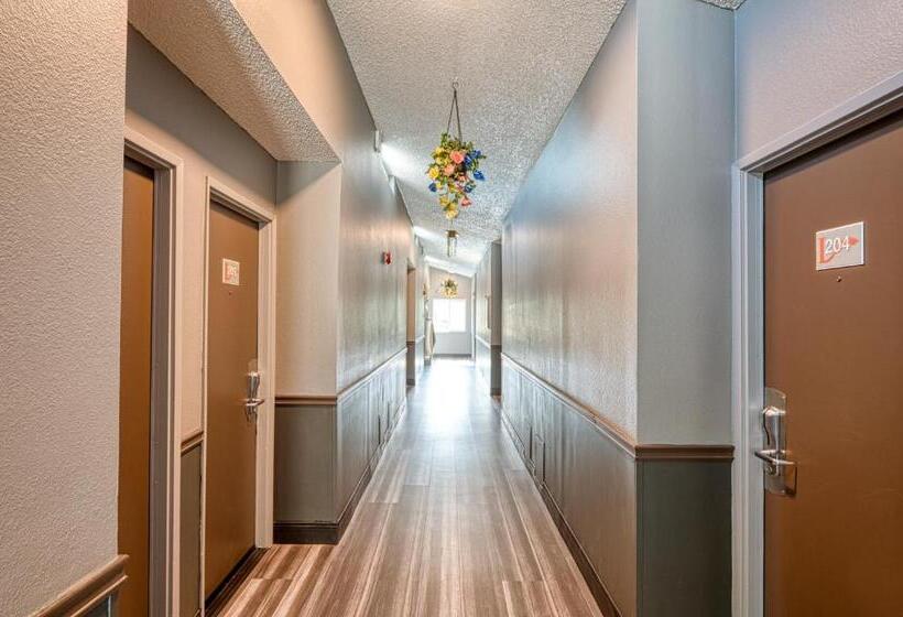Общежитие La Mirage Inn  Hollywood