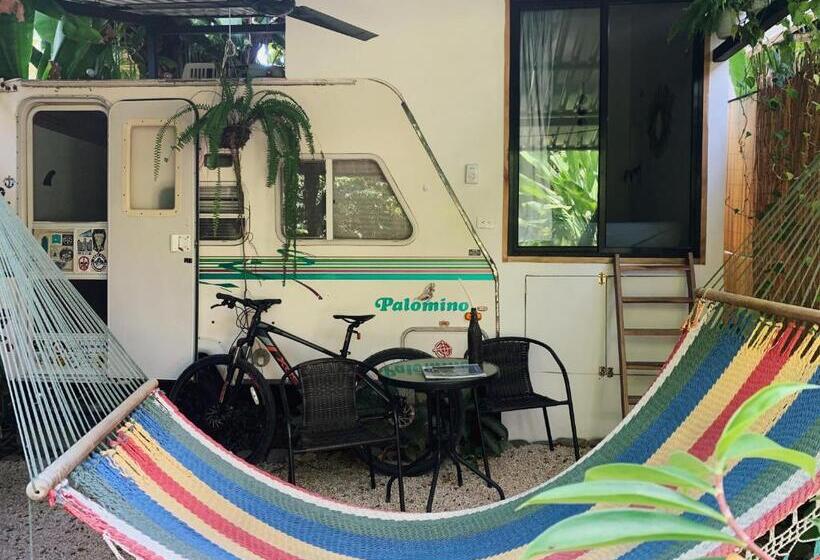 ベッドアンドブレックファースト El Chante Surf House