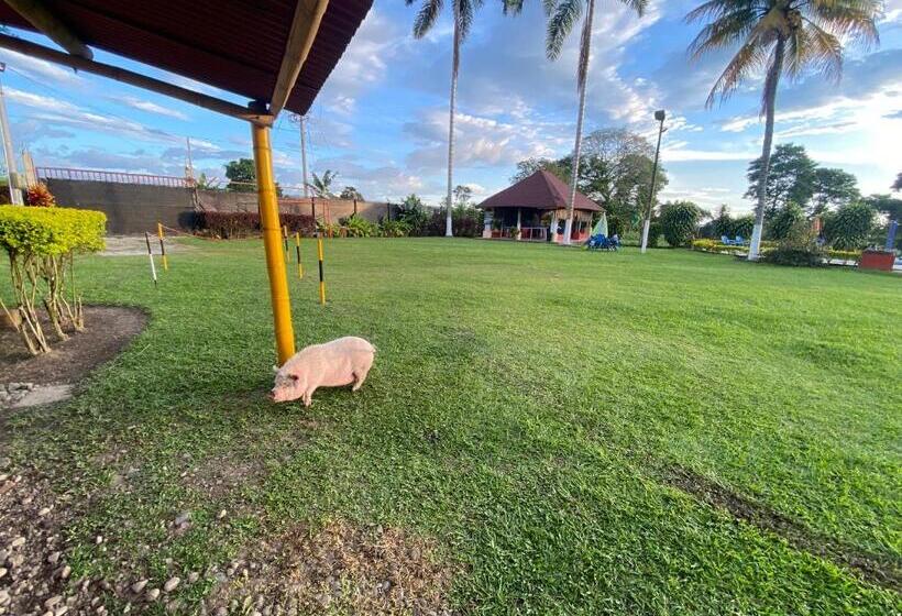 Finca Hotel Los Cocos