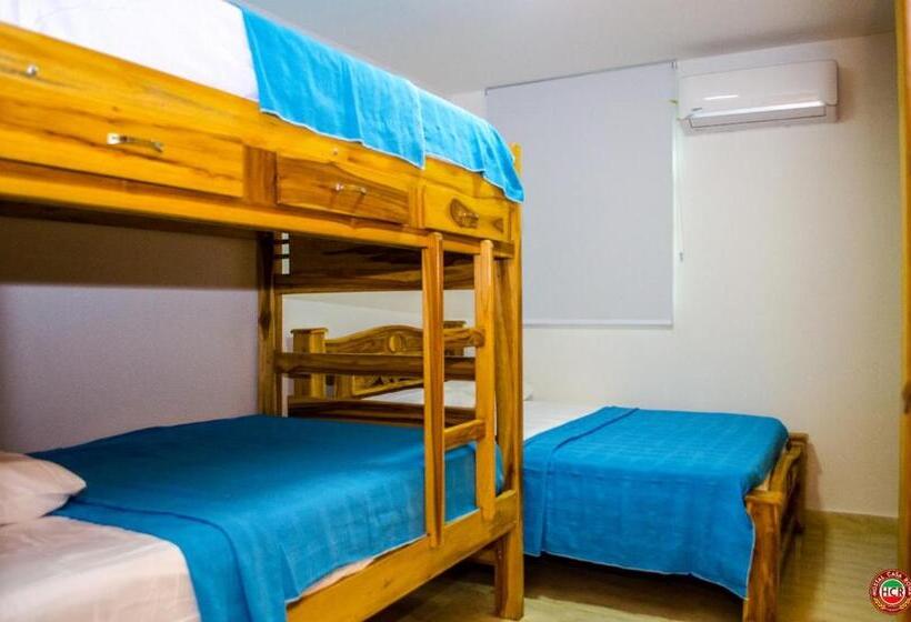 هتل Hostal Casa Roma