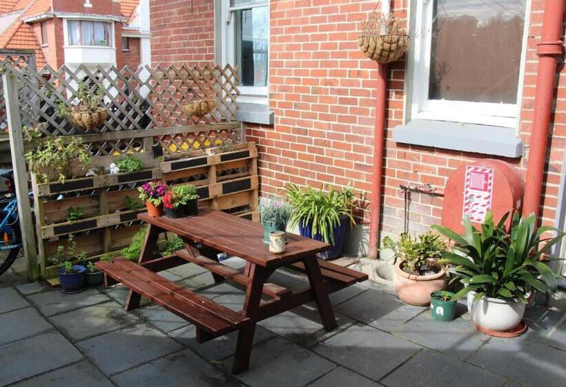 هاستل Chalet Backpackers