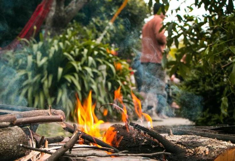 هاستل The Palace Backpackers