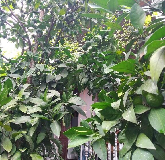 پانسیون Downtown Guest House