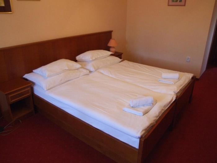 펜션 Penzion 77   Garni