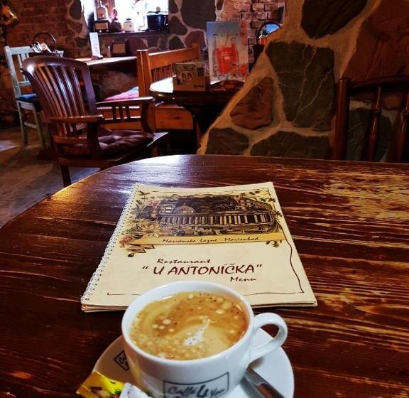 پانسیون Penzion U Antonickova Pramene