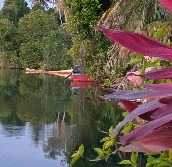 Пансион Villa River View