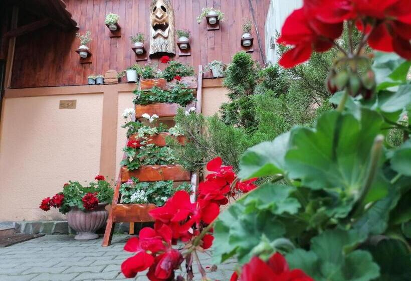 Pensiunea Casa Sighisoreana