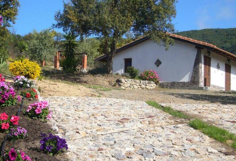 Su Trabi B&b