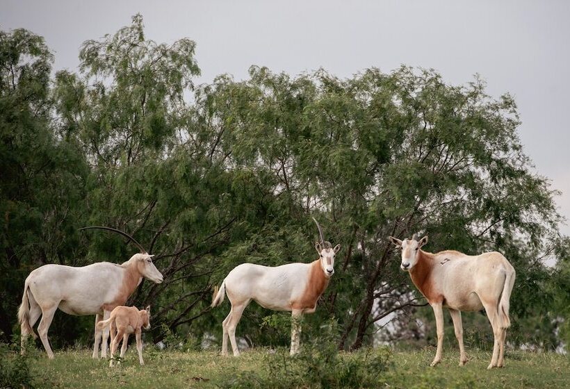בית מלון כפרי Blue Hills Ranch