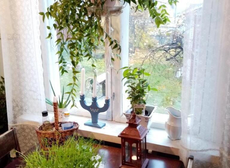Foggy Island B&b