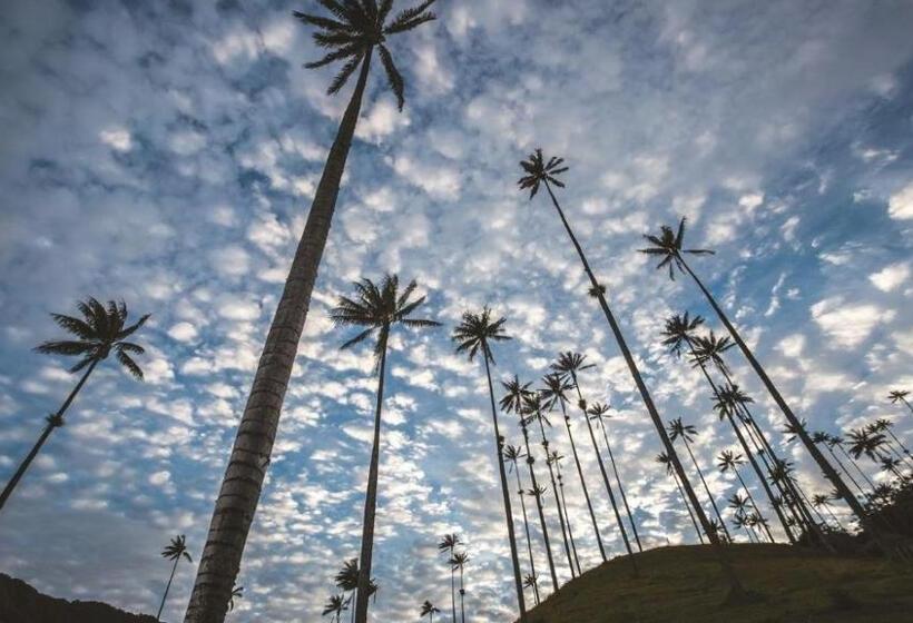 پانسیون San Pedro Salento Aparta