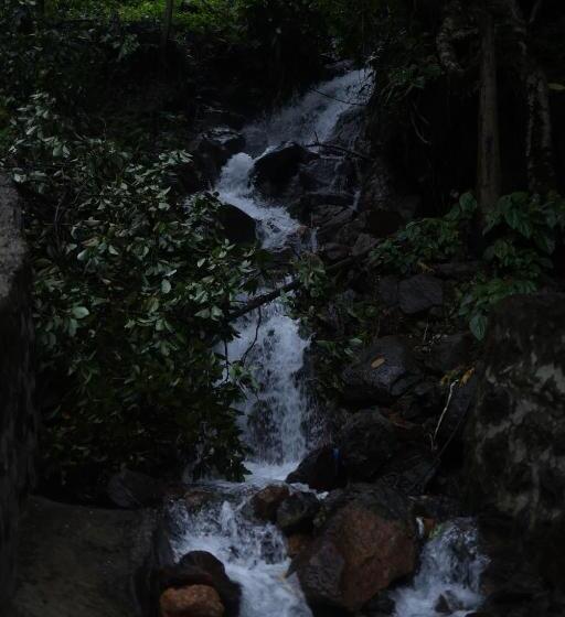 ペンション Vanilla County Heritage Plantation Bungalow