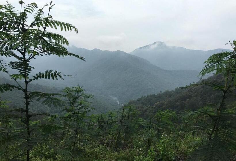 ペンション Vanilla County Heritage Plantation Bungalow