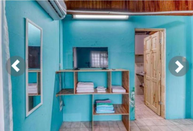 تختخواب و صبحانه Most Animal Friendly Place On Earth Casa Geraldo