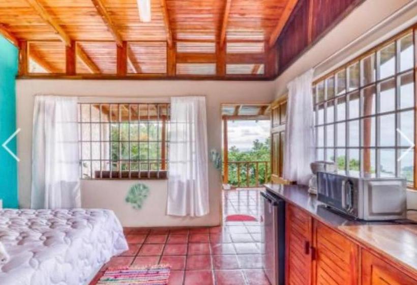تختخواب و صبحانه Most Animal Friendly Place On Earth Casa Geraldo