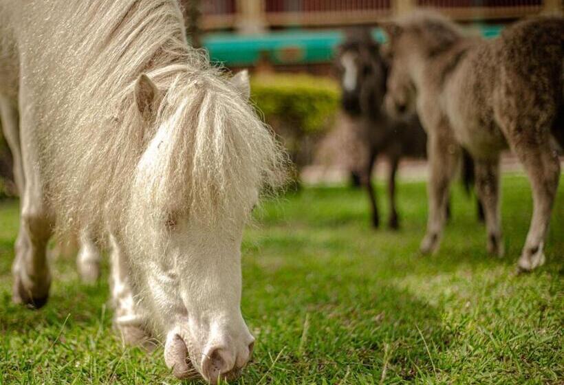 Finca Hotel El Diamante