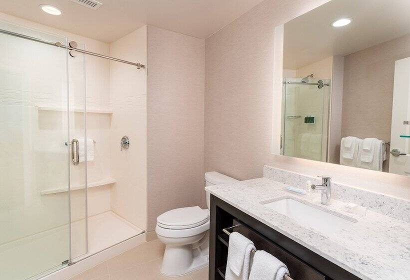 هتل Residence Inn By Marriott Grand Rapids Downtown