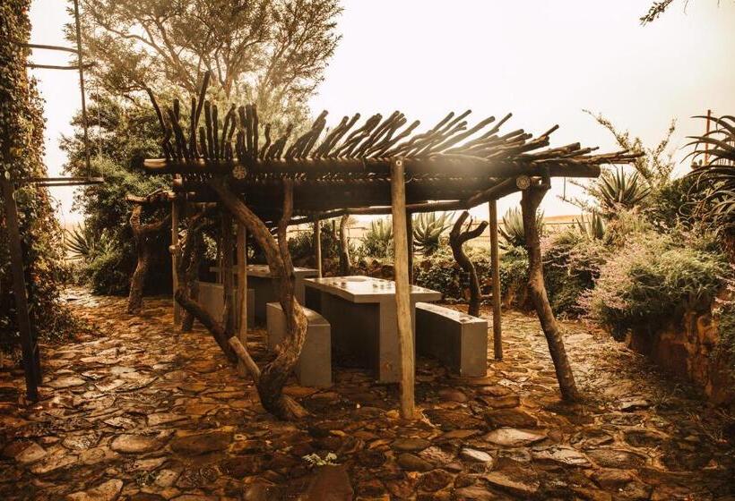 فندق صغير Amphitheatre Backpackers Lodge