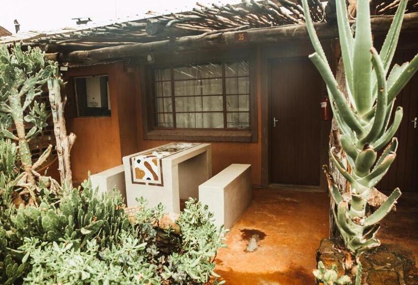 فندق صغير Amphitheatre Backpackers Lodge