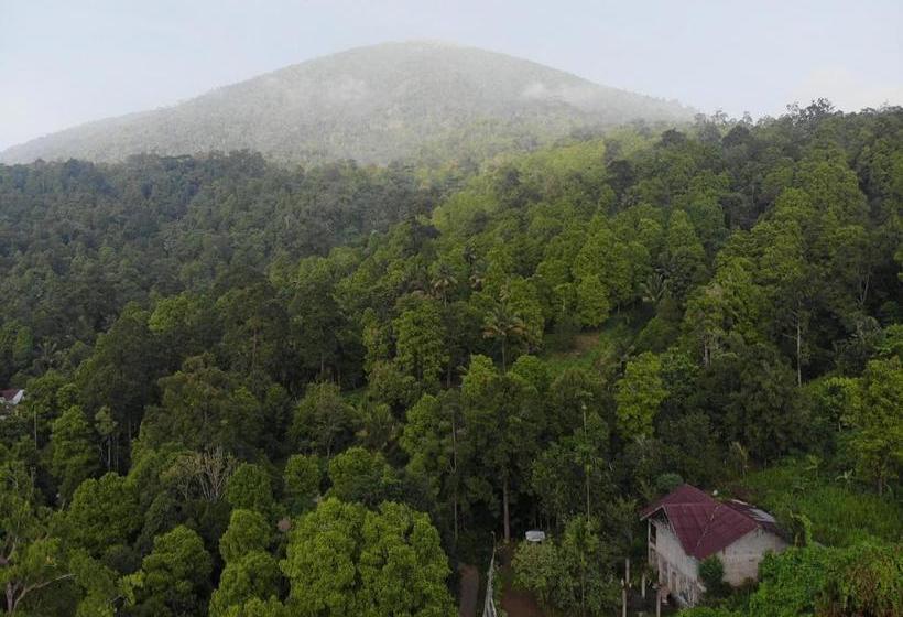 هاستل Muara Inn Ternate