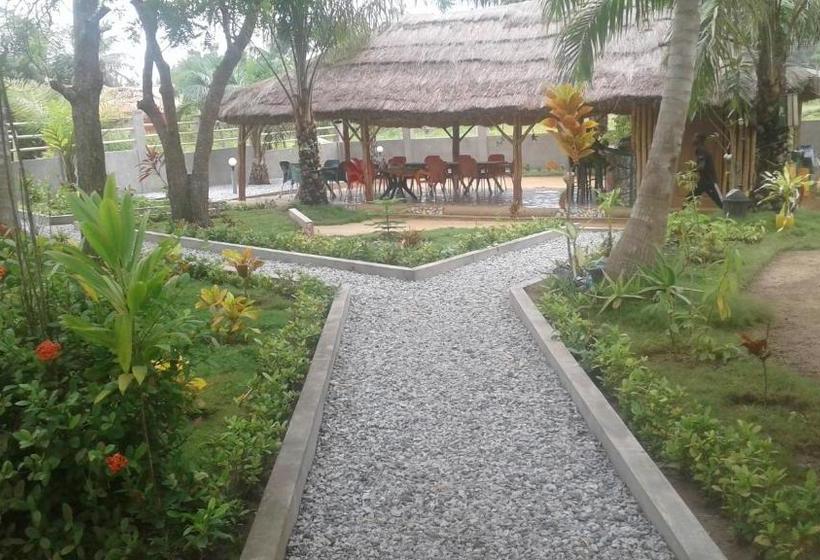 مبيت وإفطار Twitter Paradise