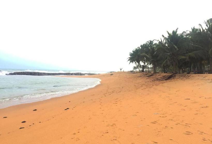 مبيت وإفطار Twitter Paradise