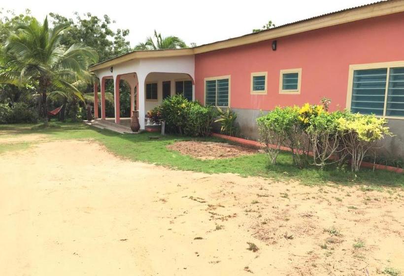 مبيت وإفطار Twitter Paradise