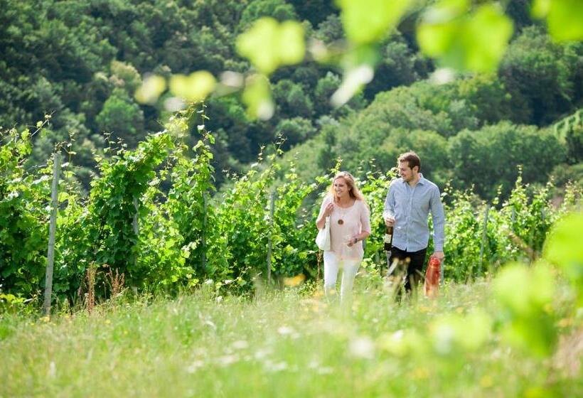 酒店 Weingut Schauer