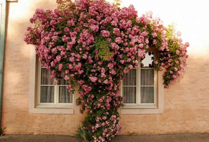 بنسيون Côté Serein   Les Chambres Du Clos Malo