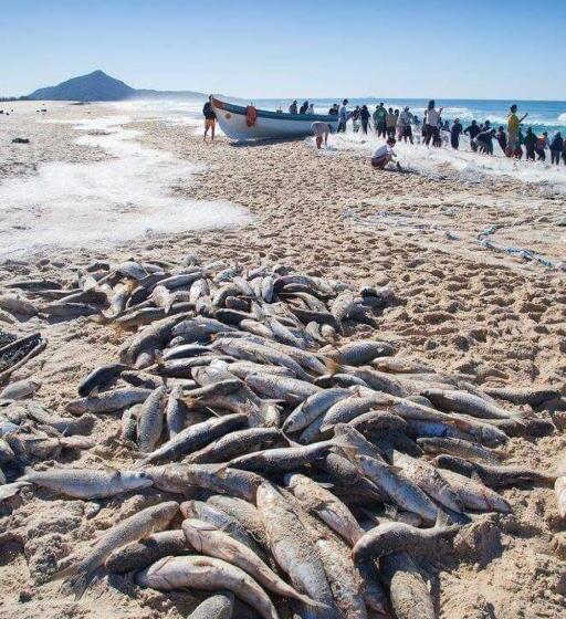 بنسيون Embaú Mar   Ecocasa Morada Canto Verde   Guarda Do Embaú Sc   Brasil